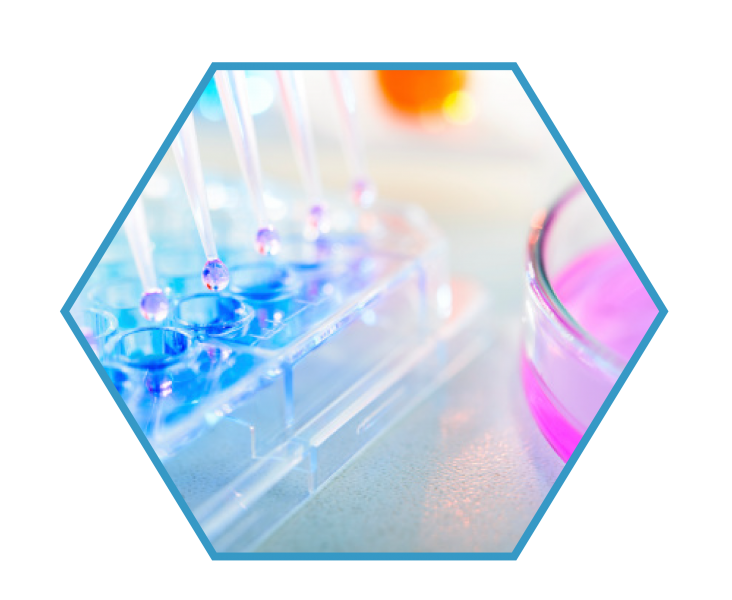 NK:IO Cancer Treatment Innovation