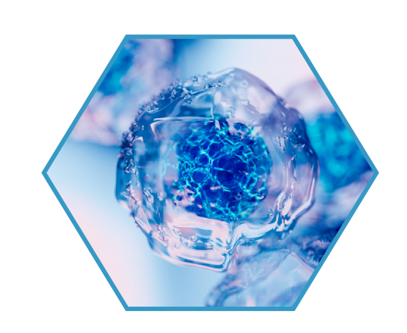 About NK:IO Cancer Treatment Technologies